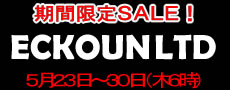 ��������SALE