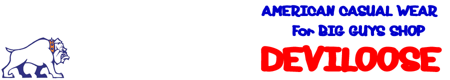 �ǥӥ롼��