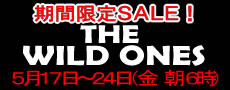 �磻��ɥ�󥺡�SALE